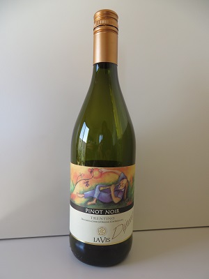 TRENTINO Pinot Noir 2013